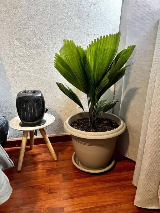 クエンカNonno'S Houseアパートメント エクステリア 写真